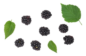 Blackberries isolated on white background, top view