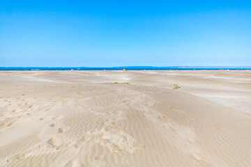 Paysage de dunes de sable à la pointe de l'Espiguette sur la côte méditerranéenne (Occitanie, France)