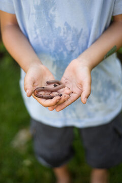 a child holds an earthworm in his hands