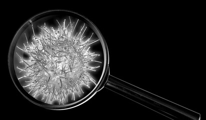 gris plan sur virus, fond noir