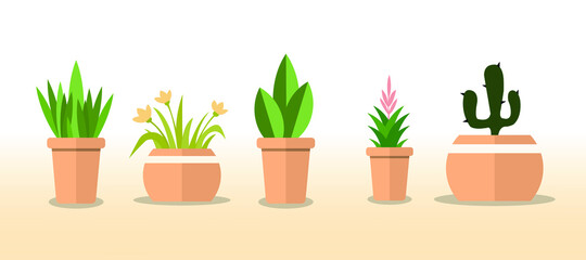 Cute Plants in Cute Mud Pots Flat vector illustration Mud Pots Set 