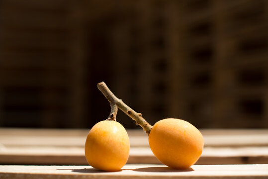 Medlar
