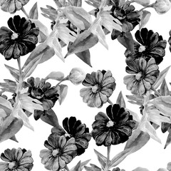 Gerbera seamless pattern..Image on white and color background.