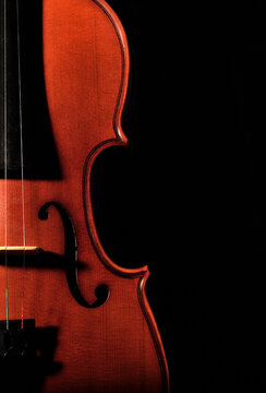 violin on black background