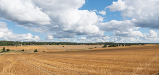 Waved cultivated row field. Rustic autumn landscape in brown tones in a sunny day with clouds