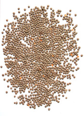 Lentils texture background . bean. soy