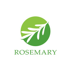 rosemary leaf vector logo illustration template