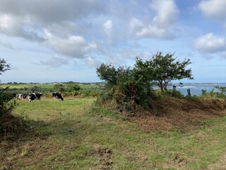 Plouguerneau - Aber Wrach