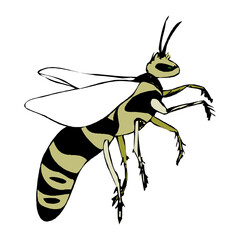 bees on white, EPS 10