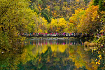 Amazing scene of colorful autumn, reflection with water and wooden bridge at center in Jiuzhaigou National Park, Sichuan Province, China. UNESCO as a World Heritage Site.