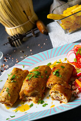 Vegetable roulade from roast  pork loins with salads