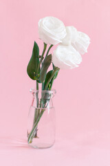 White flower in a glass jar