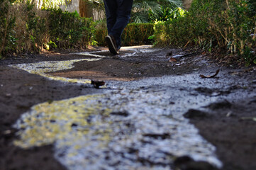 walked the wet path of life