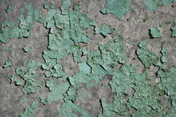 The texture of a concrete wall with dry old green paint cracked on it