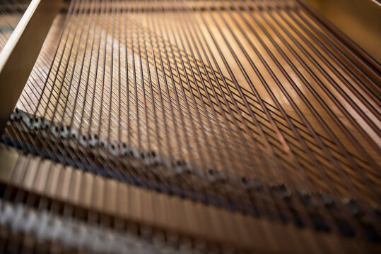 Strings inside the grand piano