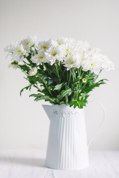 white chrysanthemum's on white background.