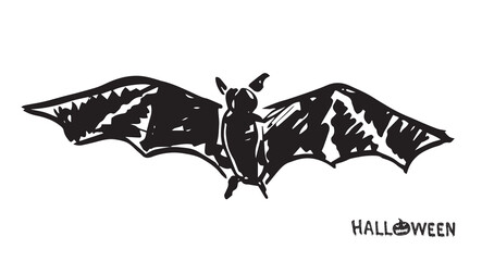 Bat sketch. Hand drawn illustration. 