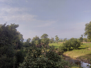 Obraz premium landscape with trees and blue sky