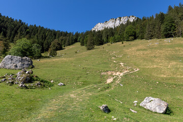 Die Wasserwand auf dem Weg zum Heuberg im Inntal, Bayern