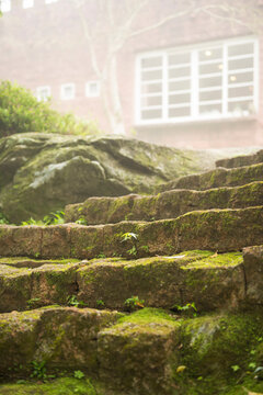 Stone stairs with green moss outside house