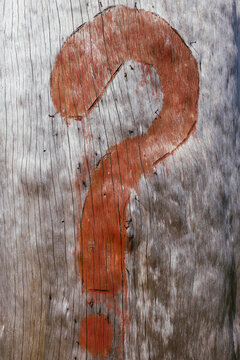 Question mark painted on tree