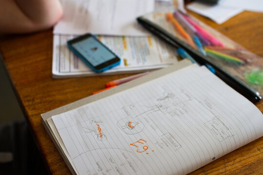 A teenage boy studying for a science exam