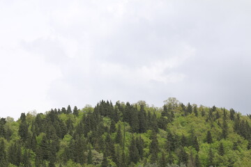 panorama di colline con cielo nuvoloso