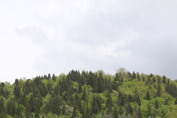 panorama di colline con cielo nuvoloso