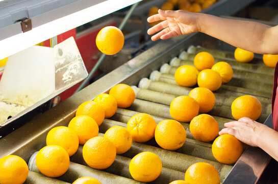 Orange factory