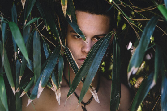 a young man hiding in the bushes, summer
