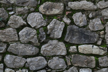 parete di sassi con muschio verde