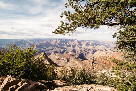 Grand Canyon, AZ