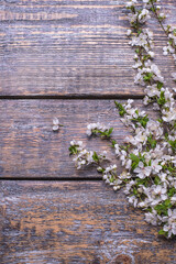 Cherry branch in blossom on wooden background, copy space.