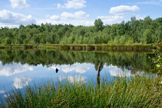 Naturschutzgebiet Venner Moor, Senden, M&uuml;nsterland, Nordrhein-Westfalen, Deutschland, Europa