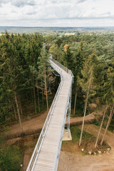 Bridge made of wood and steel through the forest and with sky in the background