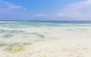 Fototapeta na wymiar Turquoise waters of Indian ocean,Zanzibar island,Tanzania