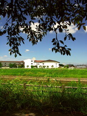 Fototapeta na wymiar 桜の梢と夏の放水路越しに見る小学校風景