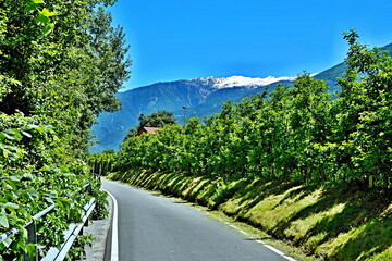 Fototapeta na wymiar Italian Alps-view of the Stelvio