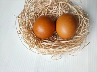 eggs in a nest