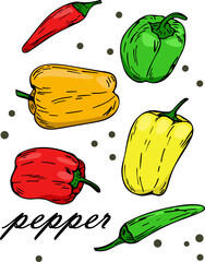 Set of peppers in different colors. Vector pepper and paprika red orange yellow and green color on a white background.