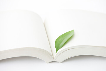 opened book and leaf