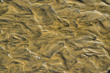 sand texture or background. sand close up