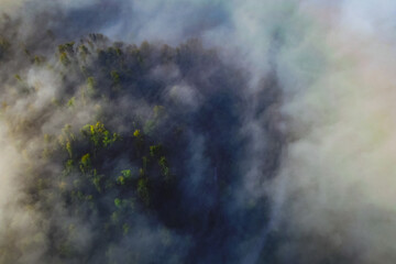 Vertical view of forest and road in early morning covered with mist and clouds. Mystical morning photo and green forest sticking out from the fog.