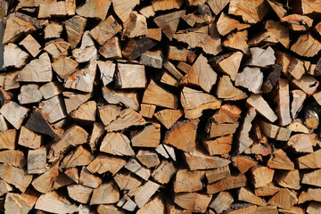 pila di legna tagliata