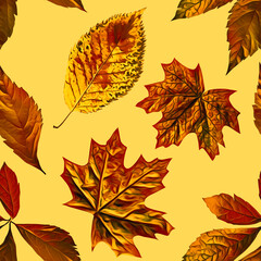 Fototapeta premium Leaves composition, seamless pattern.