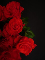 bunch of red roses