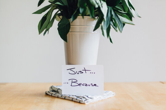 Vase of Flowers with a Message . Peonies Plant