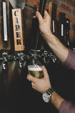 Cider