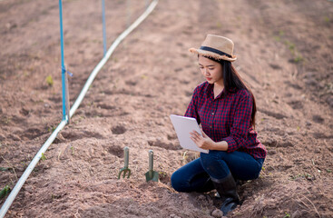 A farmer checks quality of soil before sowing. woman farmer with a tablet in field holds earth in his hands. girl agronomist checks the quality of sowing grain. business woman checks her field