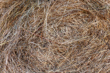 Dry haystack. Background. Space for text. Close-up.